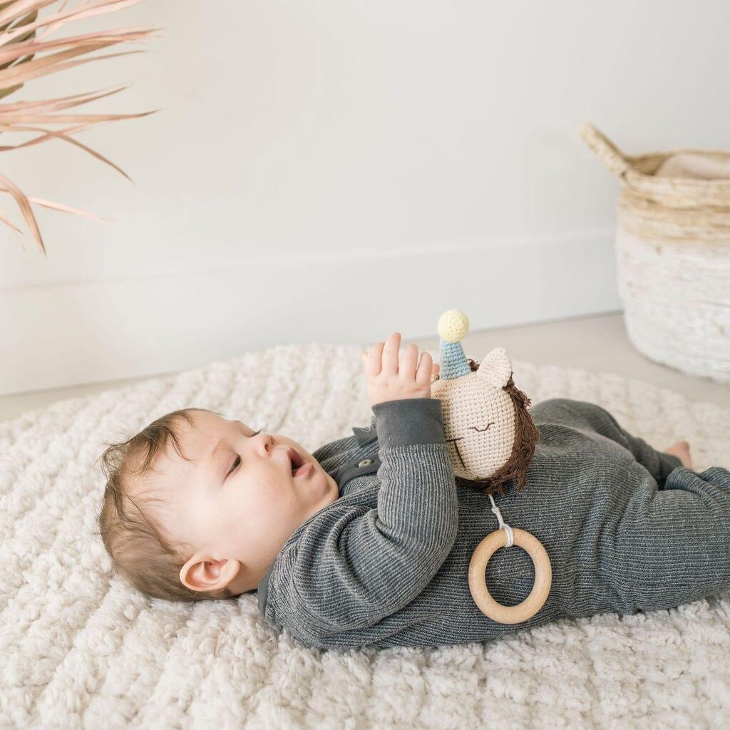 Sleeping Crochet Lion Music Box