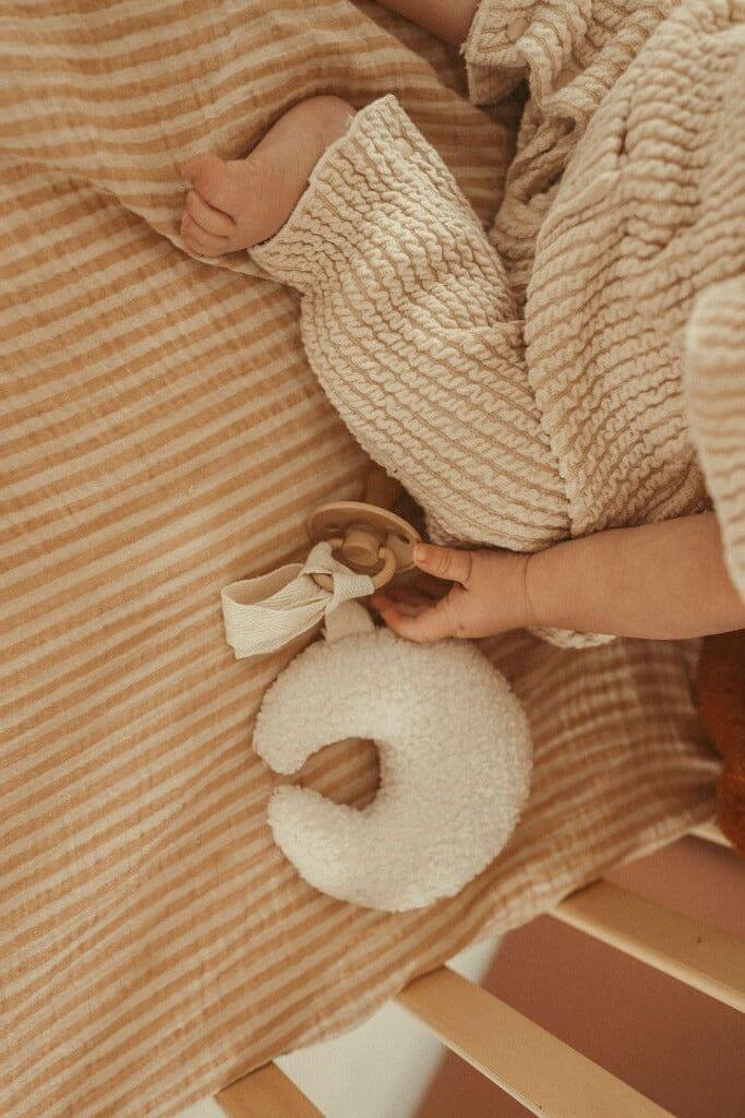 Teddy Pacifier Clip and Comforter