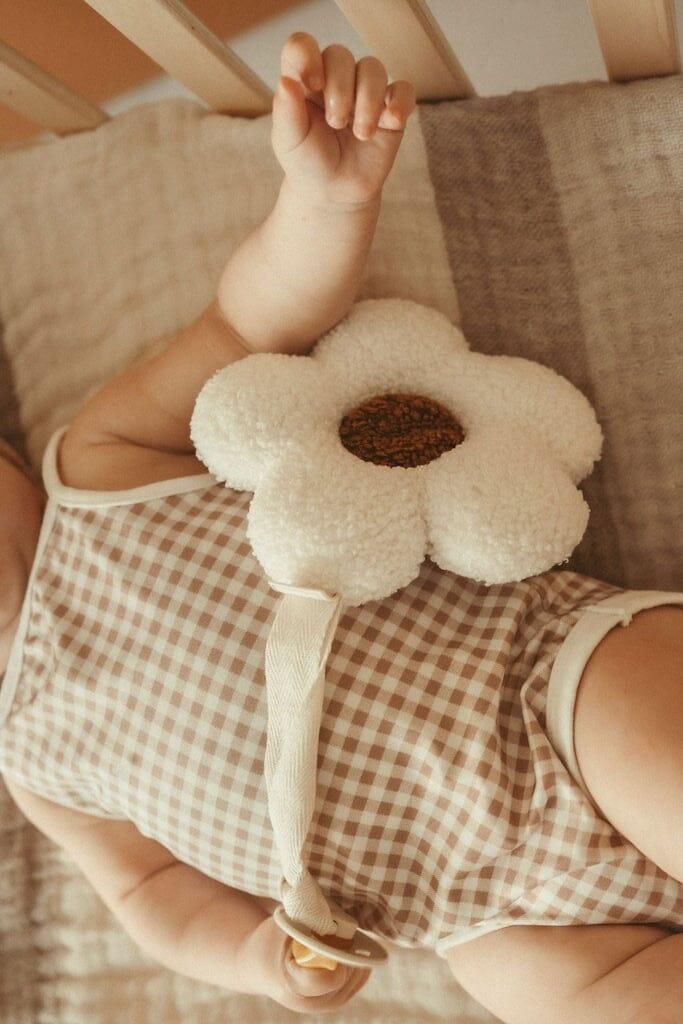 Teddy Pacifier Clip and Comforter